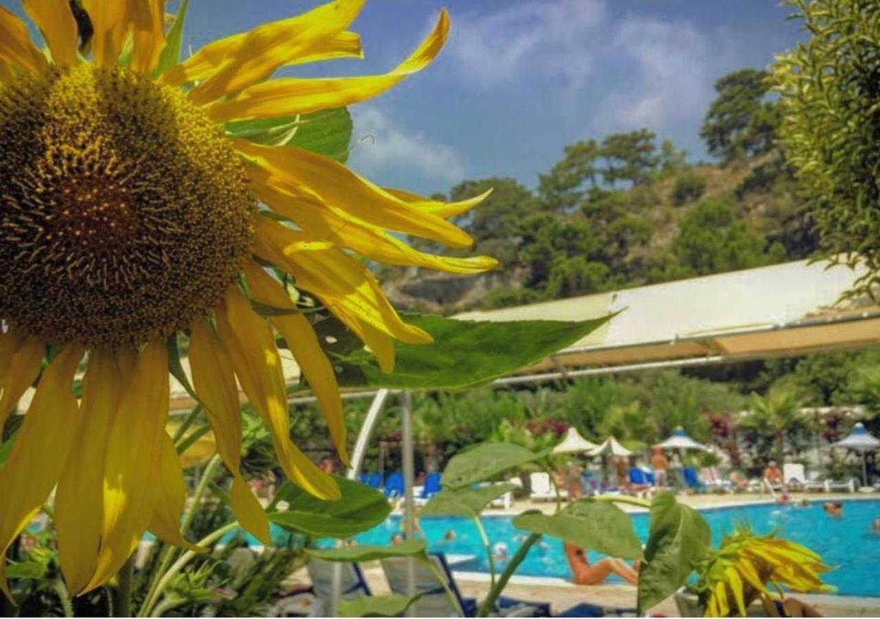 Golden Sunset Hotel&Spa Kemer Exterior photo A view of the pool at the hotel